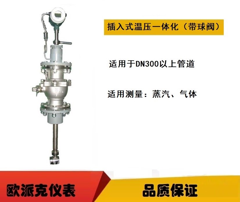 定边插入式智能涡街流量计