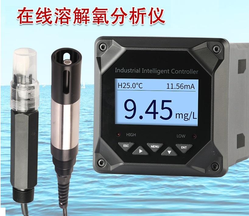 定边溶氧在线监测仪